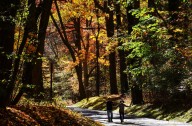 Day and night get equal billing as fall equinox arrives. Here are 3 things to know