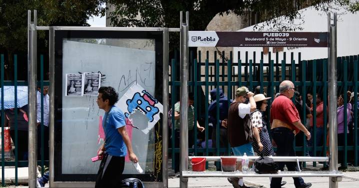 Concesión de paraderos: Congreso espera dictamen estatal para aprobar propuesta de 10 años