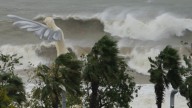 Typhoon Ragasa: China Evacuates Nearly 2 Million People After 14 Killed In Taiwan