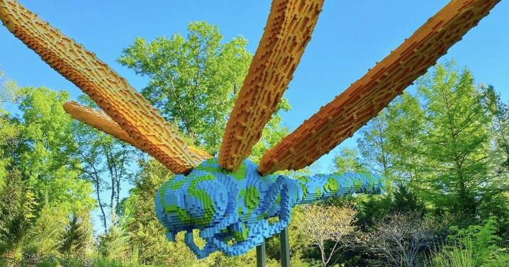 New LEGO exhibit coming to Riverbanks