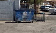 Las Vegas man accused of dumping dead dog played video games while pet sat in 109