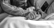 Cuidados paliativos: 12 mil personas los reciben este año en el sistema público y cifra va en constante alza desde 2022