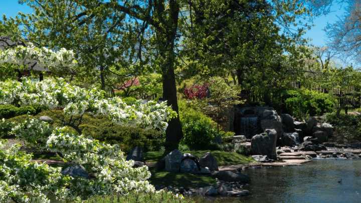 This 130-year-old garden in Chicago is the No. 1 proposal spot in the world