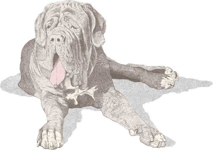 Dear Abby: Grandma’s fear of daughter’s iffy big dog has her worried about helping with new baby