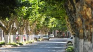 El pueblo a una hora de Buenos Aires donde se consigue el mejor jamón crudo de la región