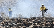 NM Forestry announces a lift on fire restrictions