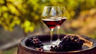 Un sommelier en casa: estas son las mejores vinotecas en oferta para conservar tus botellas de vino preferidas
