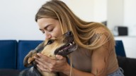 Qué efecto tiene hablarle a tu perro como si fuese un bebé, según un estudio