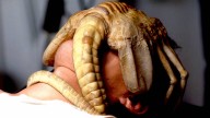 10 Greatest Horror Masterpieces of the 20th Century, Ranked