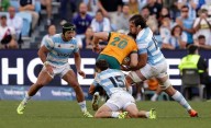 Qué tiene que pasar para que los Pumas ganen el Rugby Championship