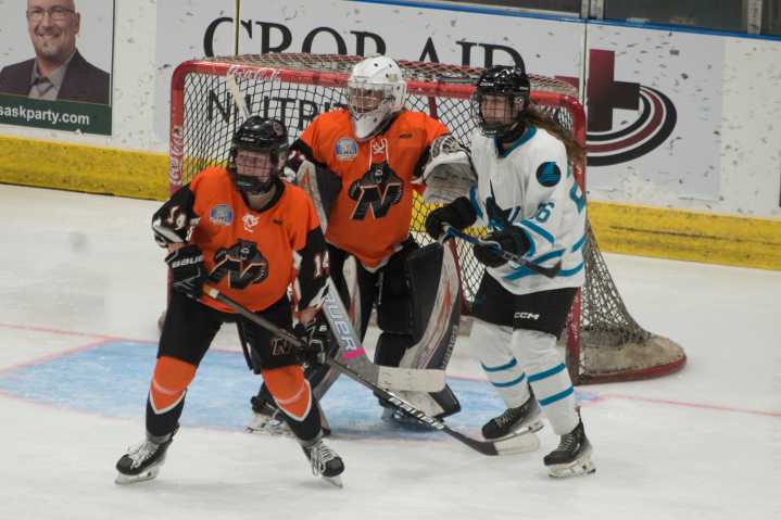 Bears fall to Sharks in season opener