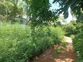Uayma: Pobladores denuncian el abandono de caminos