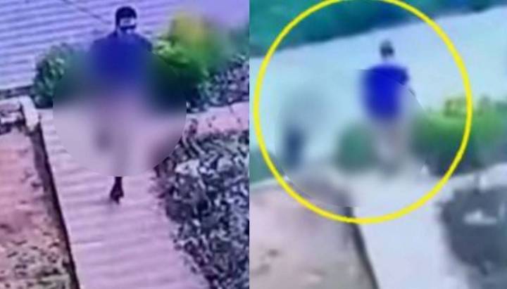 Quedó grabado: traumatólogo infantil es detenido por abuso sexual en plena vía pública en Viña del Mar