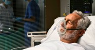Alerta máxima en todo el país | Un parásito letal ya se convirtió en endemia y preocupa a todos: cuáles son los síntomas y cómo evitarlo