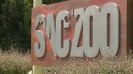 Sacramento Zoo requests expansion of existing Land Park location