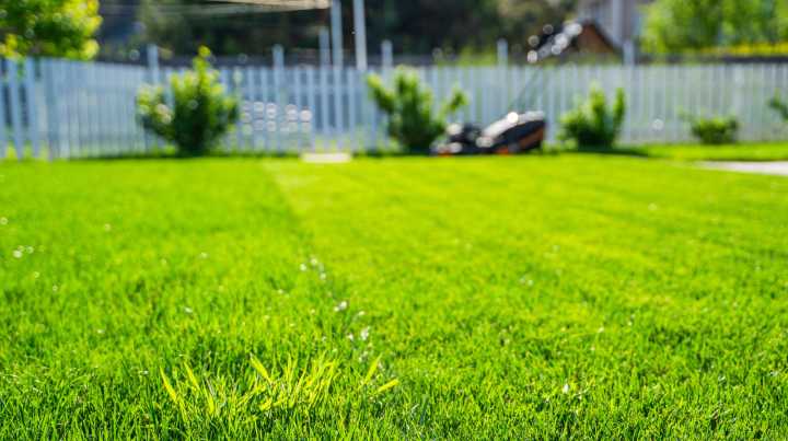 How To Aerate Your Lawn Without Creating Holes In The Soil