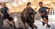 Colorado to debut new live buffalo mascot against Wyoming