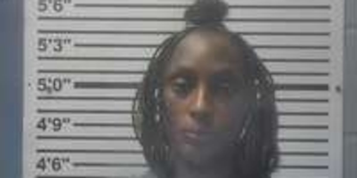 Woman pulled over with six unrestrained children, police say