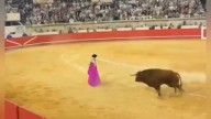 El zaragozano Aarón Palacio abre la puerta grande en su alternativa en Nimes