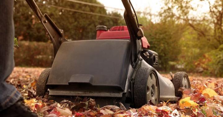 Ask an Expert – Checklist for September yard and garden tasks