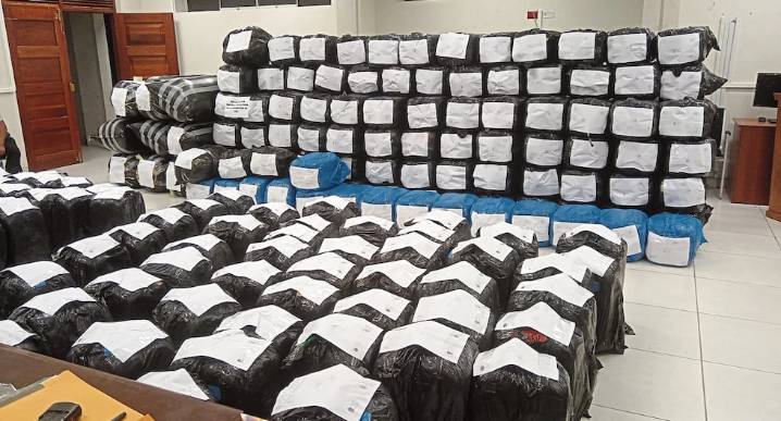Junín: Incautan 22 toneladas de hoja de  coca en 9 meses