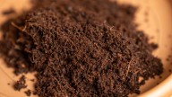 Will Peat Moss Damage Your Garden?