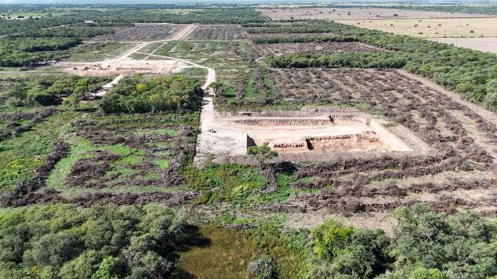 Desmonte ilegal en el norte santafesino: "Va a tomar décadas que vuelva a estar como antes"