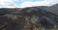 La Xunta tramita 143 expedientes de ayuda para afectados por los incendios en Valdeorras