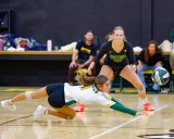 Harbor volleyball knocks off Salinas in nonleague battle of defending CCS finalists
