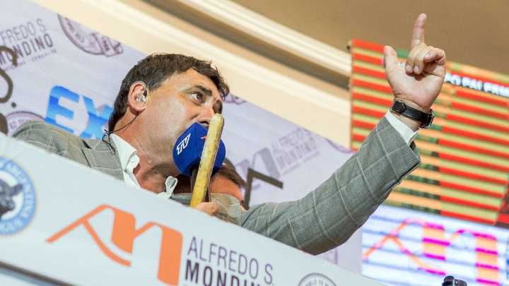 Mondino batió un récord en remates de reproductores
