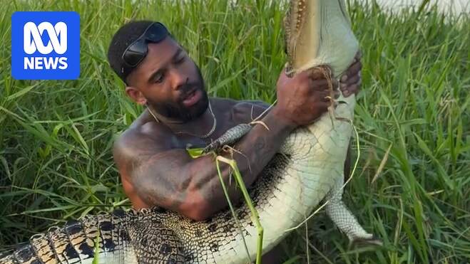 Mike Holston's crocodile videos spark calls for deportation