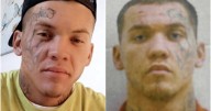 Suspect in Montana shootings detained