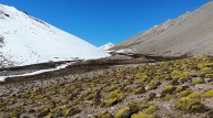 Tribunal Ambiental anuló Santuario de la Naturaleza en Monte Patria