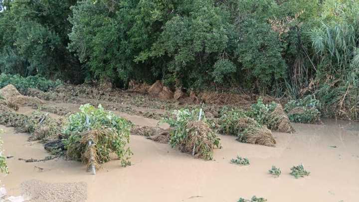 Un coche arrastrado por las lluvias en el Alt Penedès deja un muerto y un desaparecido