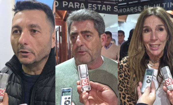 Dos espacios más, oficialista y oposición, que sumarán ediles al CD