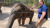 Jet the baby elephant turns 10 months: here's how he's growing up