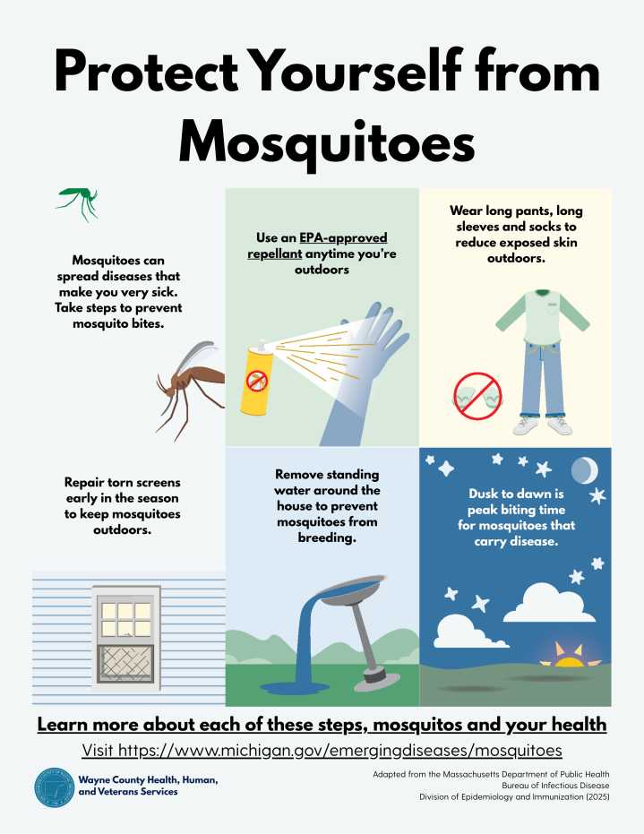 Invasive mosquito species in Michigan described as 'aggressive,' bites during day