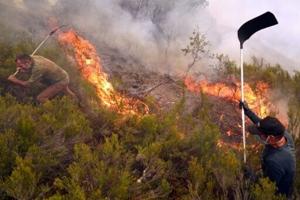 Climate change made heat behind deadly Iberian fires 40 times more likely: study