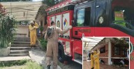 Bomberos atendieron dos emergencias en La Estrella por cuenta de avispas