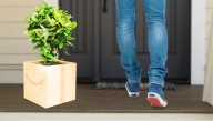 Amazon Introduces New Camouflaged Boxes So Your Spouse Won't Find Out You Ordered More Stuff On Amazon