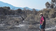 Agricultores critican las ayudas de la Junta por los incendios: "Dos millones de euros para compensar pérdidas por valor de 45"
