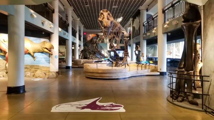 Academy of Natural Sciences will reduce number of days open
