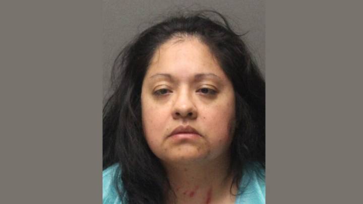 Maryland Mother Found Not Criminally Responsible After Beating 3