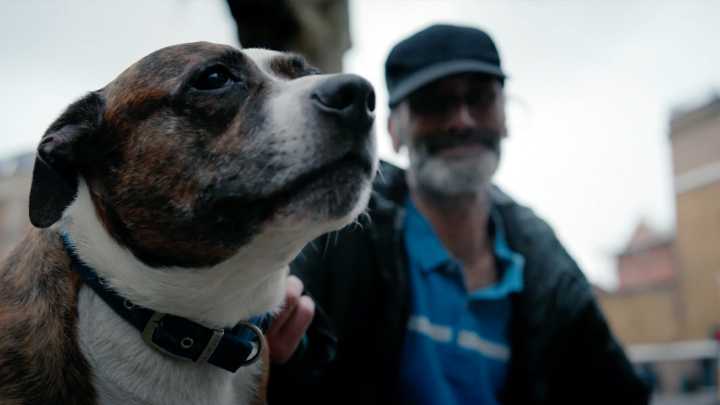 Never underestimate the power of pets