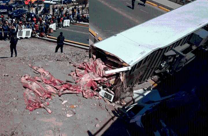 Un camión cargado con carne cayó desde un puente y la gente quería llevarse la mercadería