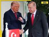 Trump's BIG warning to Turkey's Erdogan: 'I would like him to stop...'