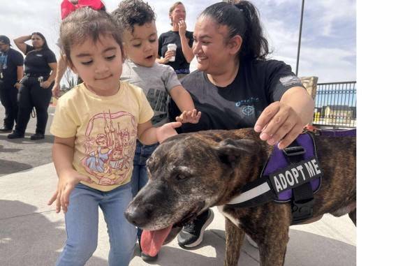 Con inversión millonaria, renuevan centro de adopción de mascotas