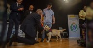 Terapia con Niebla en la prisión de Pereiro para “crecer, aprender e reflexionar”