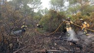 Controlado un incendio forestal en la Comuna de Bunyola