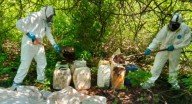 Aseguran 13 áreas con químicos y laboratorios clandestinos en Sinaloa